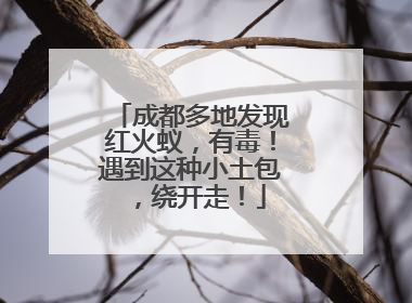 成都多地发现红火蚁，有毒！遇到这种小土包，绕开走！