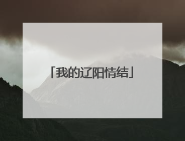 我的辽阳情结