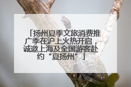 扬州夏季文旅消费推广季在沪上火热开启，诚邀上海及全国游客赴约“夏扬州”
