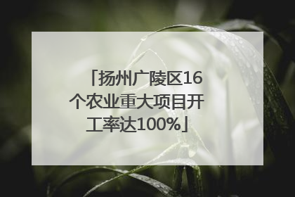 扬州广陵区16个农业重大项目开工率达100%