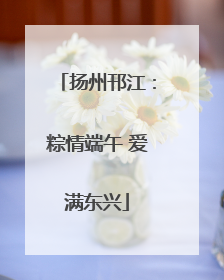 扬州邗江：粽情端午 爱满东兴
