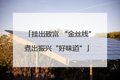 挂出致富 “金丝线” 煮出振兴“好味道”
