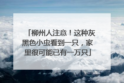 柳州人注意！这种灰黑色小虫看到一只，家里很可能已有一万只
