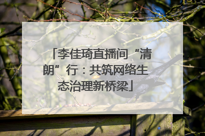 李佳琦直播间“清朗”行：共筑网络生态治理新桥梁