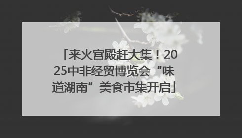 来火宫殿赶大集！2025中非经贸博览会“味道湖南”美食市集开启