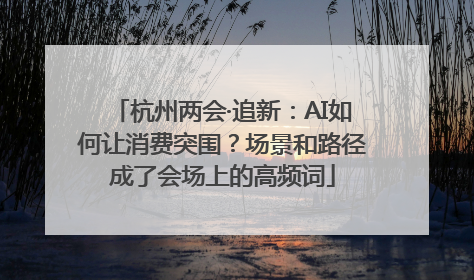杭州两会·追新：AI如何让消费突围？场景和路径成了会场上的高频词