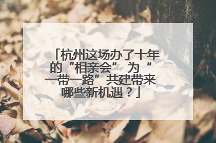 杭州这场办了十年的“相亲会” 为“一带一路”共建带来哪些新机遇？