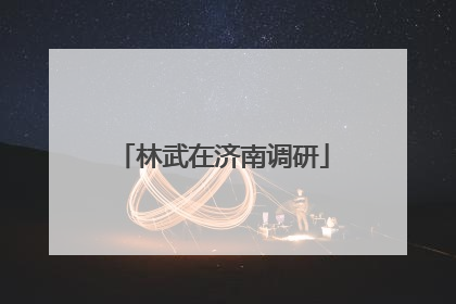 林武在济南调研