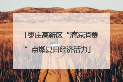 枣庄高新区“清凉消费”点燃夏日经济活力
