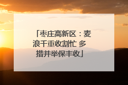枣庄高新区：麦浪千重收割忙 多措并举保丰收