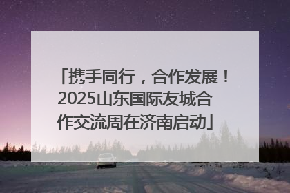 携手同行，合作发展！2025山东国际友城合作交流周在济南启动