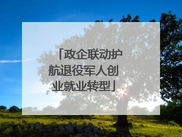 政企联动护航退役军人创业就业转型