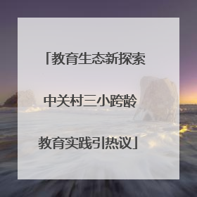 教育生态新探索 中关村三小跨龄教育实践引热议