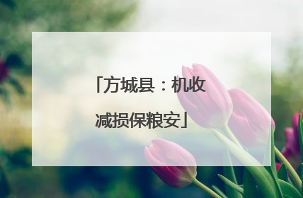 方城县：机收减损保粮安