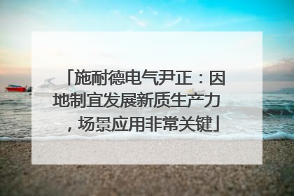 施耐德电气尹正：因地制宜发展新质生产力，场景应用非常关键