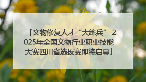 文物修复人才“大练兵” 2025年全国文物行业职业技能大赛四川省选拔赛即将启幕
