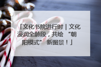 文化书院进行时｜文化浸润全龄段，共绘 “朝阳模式” 新图景！