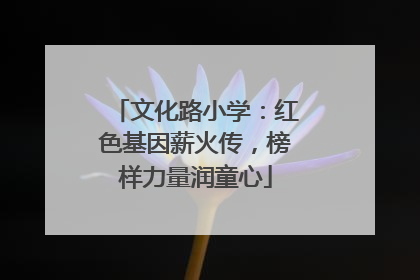文化路小学：红色基因薪火传，榜样力量润童心