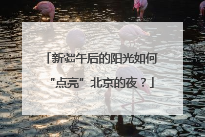 新疆午后的阳光如何“点亮”北京的夜？