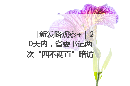 新发路观察+｜20天内，省委书记两次“四不两直”暗访，有何深意？