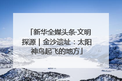 新华全媒头条·文明探源｜金沙遗址：太阳神鸟起飞的地方