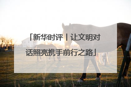新华时评丨让文明对话照亮携手前行之路