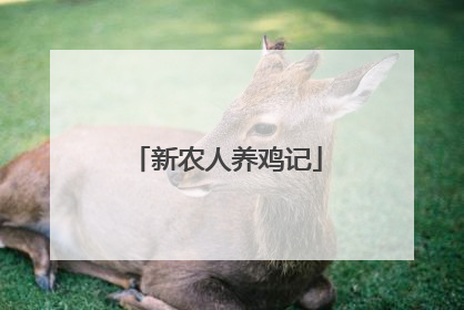 新农人养鸡记