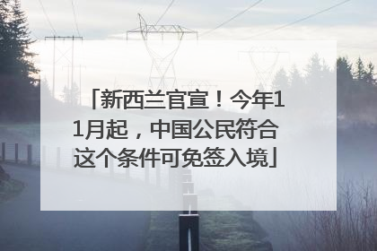 新西兰官宣！今年11月起，中国公民符合这个条件可免签入境
