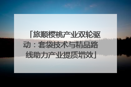 旅顺樱桃产业双轮驱动：套袋技术与精品路线助力产业提质增效