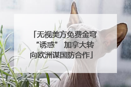 无视美方免费金穹“诱惑” 加拿大转向欧洲谋国防合作