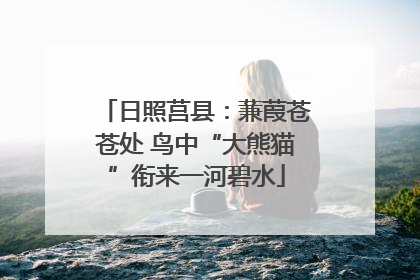 日照莒县：蒹葭苍苍处 鸟中“大熊猫”衔来一河碧水
