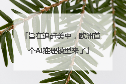 旨在追赶美中，欧洲首个AI推理模型来了