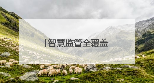 智慧监管全覆盖 阳新县225家集中用餐单位实现“云上明厨亮灶”