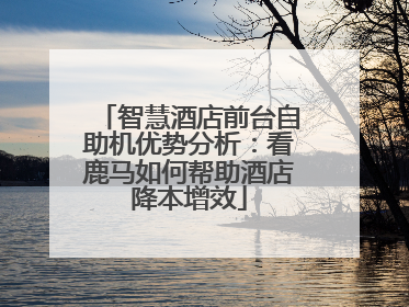智慧酒店前台自助机优势分析：看鹿马如何帮助酒店降本增效