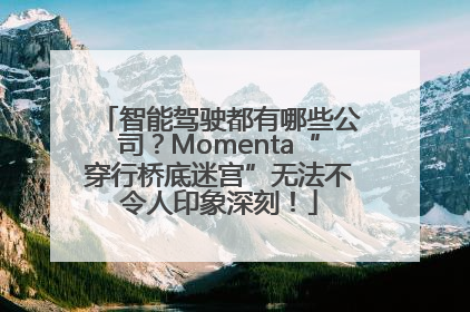 智能驾驶都有哪些公司？Momenta“穿行桥底迷宫”无法不令人印象深刻！