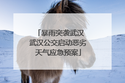 暴雨突袭武汉 武汉公交启动恶劣天气应急预案