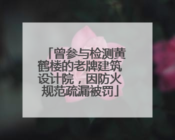 曾参与检测黄鹤楼的老牌建筑设计院，因防火规范疏漏被罚