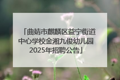 曲靖市麒麟区益宁街道中心学校金湘九俊幼儿园2025年招聘公告