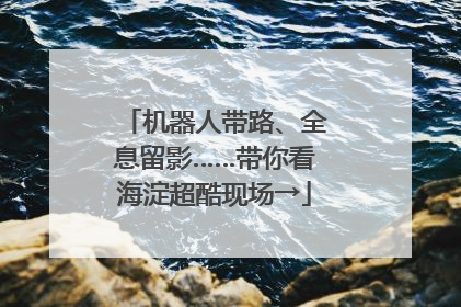 机器人带路、全息留影……带你看海淀超酷现场→