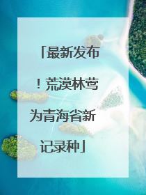 最新发布！荒漠林莺为青海省新记录种