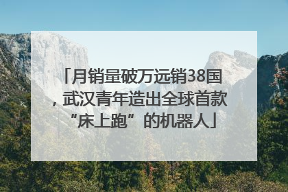 月销量破万远销38国，武汉青年造出全球首款“床上跑”的机器人