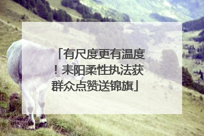有尺度更有温度！耒阳柔性执法获群众点赞送锦旗