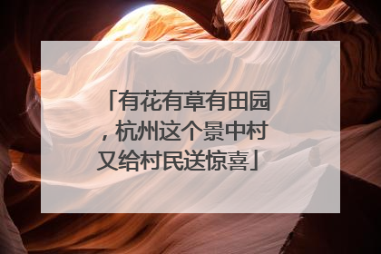 有花有草有田园,杭州这个景中村又给村民送惊喜