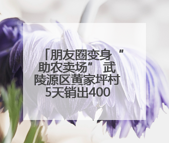 朋友圈变身“助农卖场” 武陵源区黄家坪村5天销出4000斤包菜