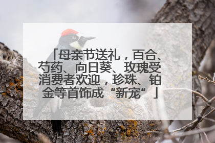 母亲节送礼，百合、芍药、向日葵、玫瑰受消费者欢迎，珍珠、铂金等首饰成“新宠”