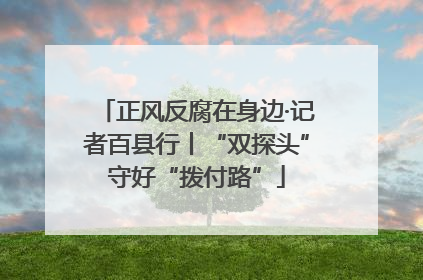 正风反腐在身边·记者百县行丨“双探头”守好“拨付路”