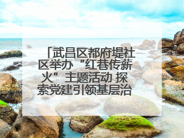 武昌区都府堤社区举办“红巷传薪火”主题活动 探索党建引领基层治理新路径