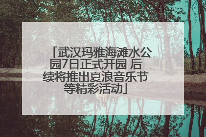 武汉玛雅海滩水公园7日正式开园 后续将推出夏浪音乐节等精彩活动