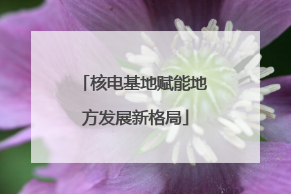 核电基地赋能地方发展新格局