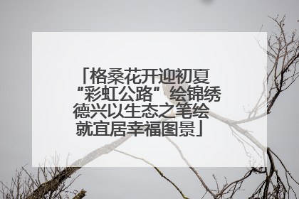 格桑花开迎初夏 “彩虹公路”绘锦绣 德兴以生态之笔绘就宜居幸福图景